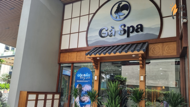 Gà Spa là địa chỉ spa triệt lông quận 1