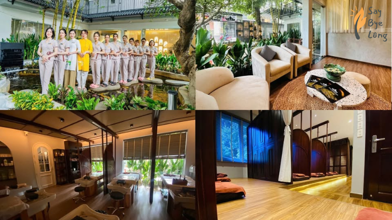 Hạ Spa triệt lông quận 1 hiệu quả