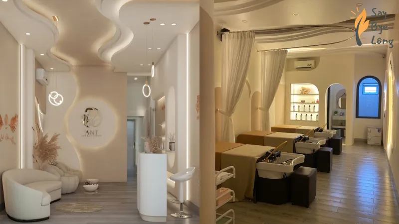 Ant Spa & Academy triệt lông bằng công nghệ DPL và Diode Laser